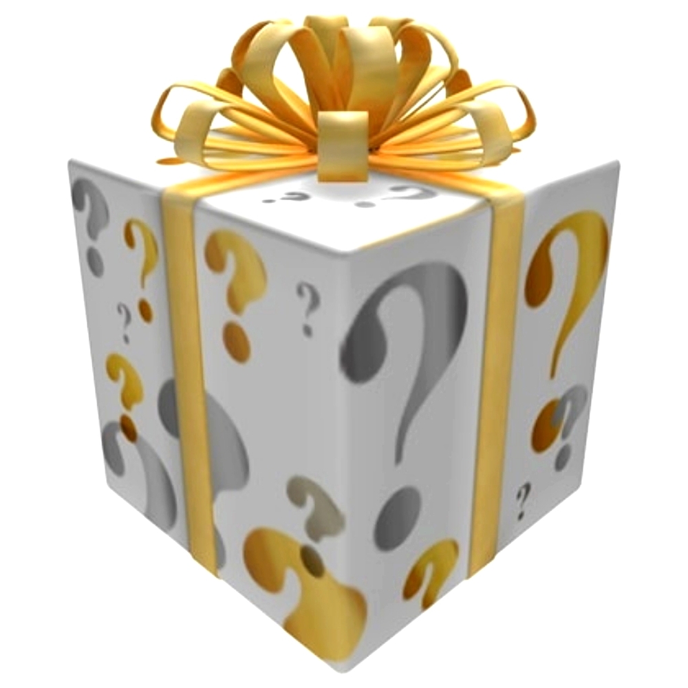 MYSTERY BOX! New and Used Items!